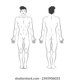 fondo del contorno del cuerpo humano. Ilustración del contorno vectorial del cuerpo masculino. boceto de cuerpo humano dibujado a mano. Cuerpo humano masculino. los hombres hacen sketch de arte. boceto masculino.
