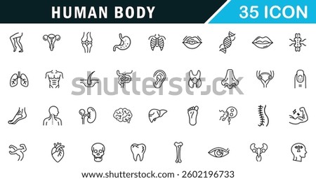 Human Body outline editable icon set. organs, body parts, skeleton parts and more.