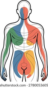 Human body outline with segmented color zones and geometric lines