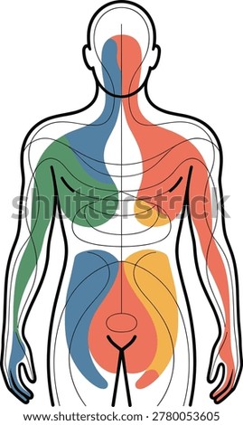 Human body outline with segmented color zones and geometric lines
