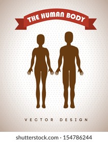 human body over beige background vector illustration 