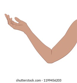 Human body part: Arm (female)