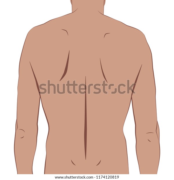 Human Body Part Back Stock Vector (Royalty Free) 1174120819