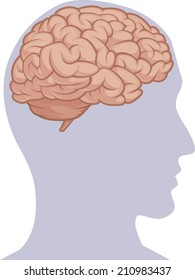Human Body Part - Brain Inside Head Silhouette
