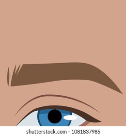 Human body part: eyebrow