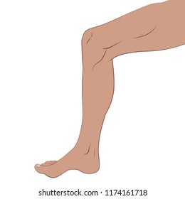 Human body part: Leg