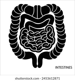 Human body part white background  silhouette vector