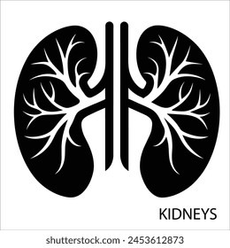 Human body part white background  silhouette vector