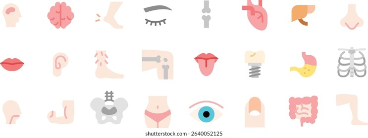 Human Body Parts and Anatomy Icons
