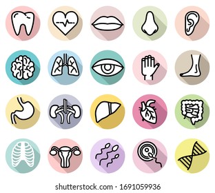 human body parts and anatomy isolated flat style icons vector set on colorful backgrounds with shadows