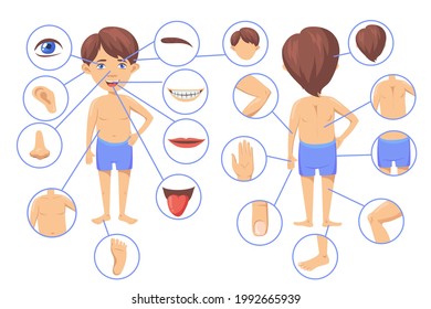 Human body parts cartoon vector illustration. Poster with boy character and his anatomy parts as face, hair, head, ear, knee, nose, fingers, mouth, chest. Biology, preschool education, game concept