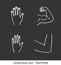 Human body parts chalk icons set. Male and female hands, muscular bicep, elbow joint. Isolated vector chalkboard illustrations