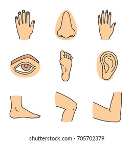 Human body parts color icons set. Male and female hands, nose, eye, feet, ear, elbow joint, knee. Isolated vector illustrations