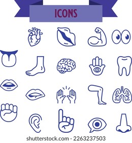 Human body parts detailed icons set. Vector illustration
