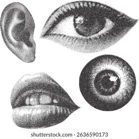 Human body parts eye, eye ball, lip, ear monochrome stipple photocopy effect grunge punk collage element