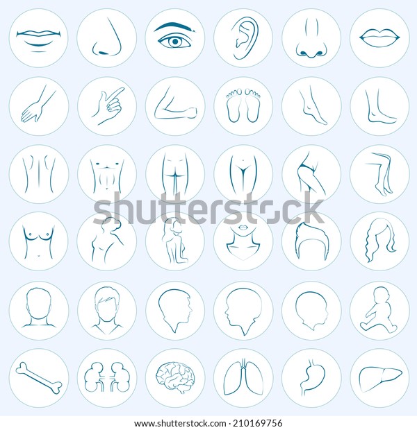 human body parts, five senses, organs, medical
vector icons