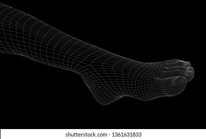 Human body parts. Foot wireframe vector.