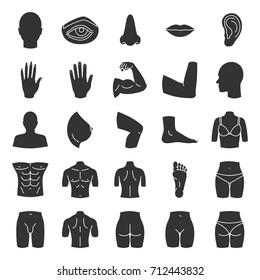 Human body parts glyph icons set. Anatomy. Health care. Silhouette symbols. Vector isolated illustration