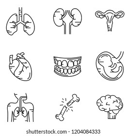 Human body parts icon set vector
