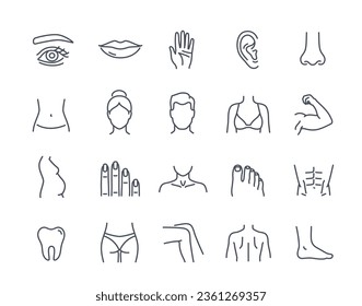 Human body parts icon set. Outline icons with ear and eye, fingers and hand, muscles and back, lips and teeth. Anatomy, health and medicine. Linear flat vector collection isolated on white background