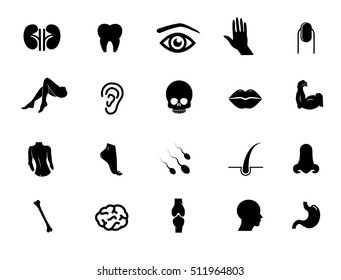 Human body parts icon set isolated on white background. Vector art.