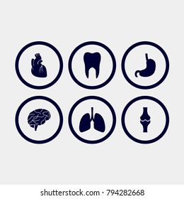 Human body parts icon vector