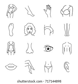 Human body parts icons. Outline icons on a white background