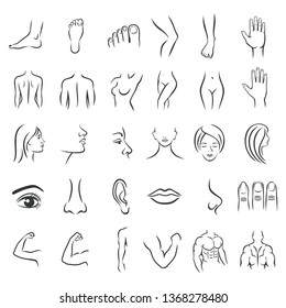 human body parts icons plastic face surgery, medical vector icons. Body sculpting system.