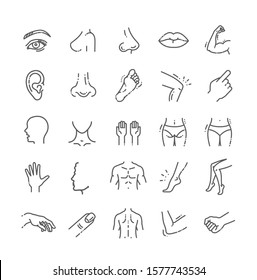human body parts icons plastic face surgery, medical vector icons