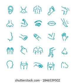 human body parts icons plastic face surgery, medical vector icons