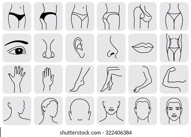 human body parts icons plastic face surgery, medical vector icons. Body sculpting system  