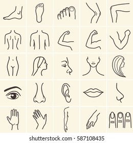 human body parts icons plastic face surgery, medical vector icons. Body sculpting system. - Shutterstock ID 587108435