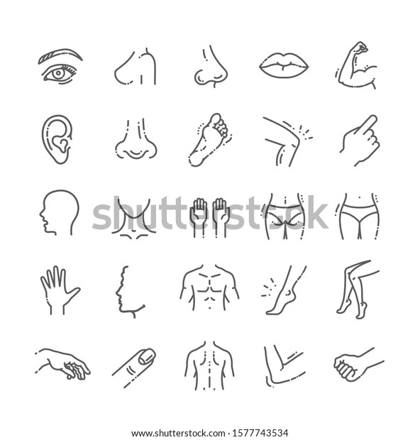 human body parts icons plastic face surgery,\
medical vector icons