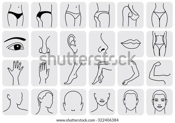 human body parts icons plastic face\
surgery, medical vector icons. Body sculpting system \
