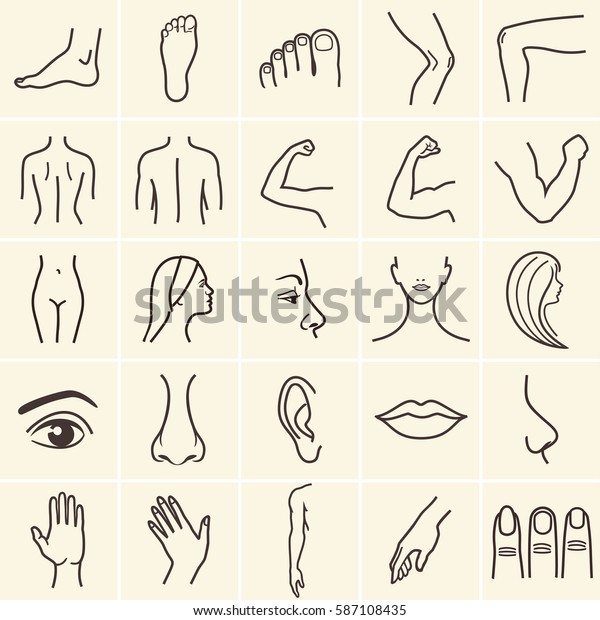 human body parts icons plastic face\
surgery, medical vector icons. Body sculpting\
system.