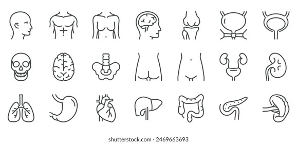 Menschliche Körperteile Symbole gesetzt. Illustrationen von Kopf, Rumpf, Hirn, Schädel, Wirbelsäule, Nieren, Lunge, Herz, Magen, Leber, Darm, Bauchspeicheldrüse und Blase. Lineare Vektorgrafik.