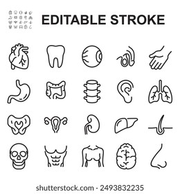 Human Body Parts Icons Set. 