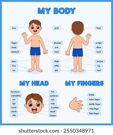 Human body parts for kids. Illustrated diagram of the anatomy of a boy. Cartoon style illustration.