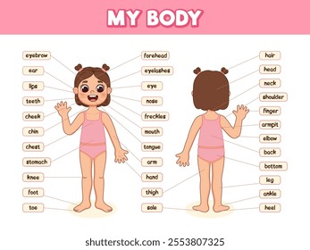 Human body parts for kids. Illustrated diagram of the anatomy of a girl. Cartoon style illustration. Anatomy poster with body parts name.