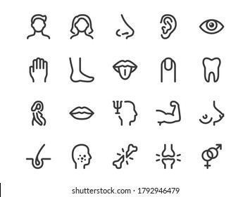 Icono de la línea de partes del cuerpo humano. Ilustración mínima vectorial con iconos simples de contorno como brazo, boca, mano, humano, pierna, acné, nariz, embarazo, ojo y otra anatomía. Stroke editable. Pixel Perfect