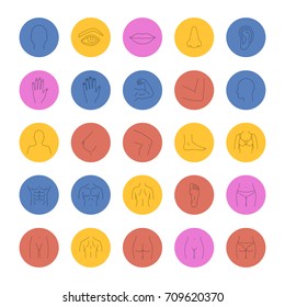 Human body parts linear icons set. Anatomy. Health care. Thin line outline symbols on color circles. Vector illustrations