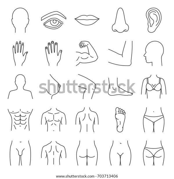 Human body parts linear icons set. Anatomy.\
Health care. Thin line contour symbols. Isolated vector outline\
illustrations