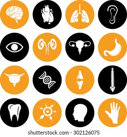 Human Body Parts - Organ icon set For Web & Mobile. Eps-10.