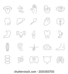 Human body parts, organs - vector linear icon set.