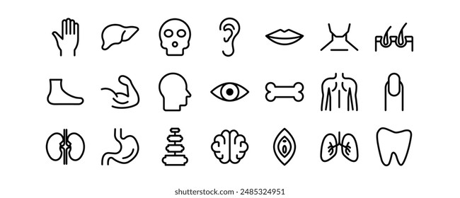 Human Body parts related vector icons set.