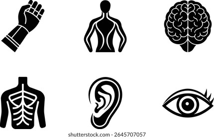 Human Body Parts set Vector icon.