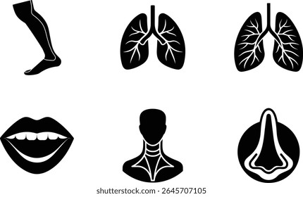 Human Body Parts set Vector icons.