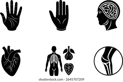 Human Body Parts set Vector icon illustration.
