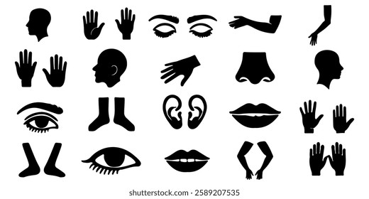 Human Body Parts Silhouettes Vector Set Head, Hands, Eyes, Nose, Lips, Ears, Arms, Feet, and Facial Features Isolated Icons Black Silhouette Illustration for Medical, Design, and Art Projects