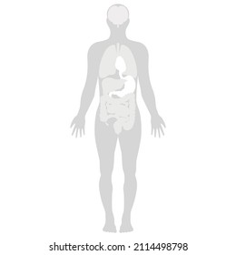 Human Body Parts simplified flat grayscale vector 